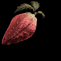 The Energy Fruit, which never gets added to your inventory. The Energy Fruit, which never gets added to your inventory.