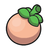 PkmnSV_Item_0176.png