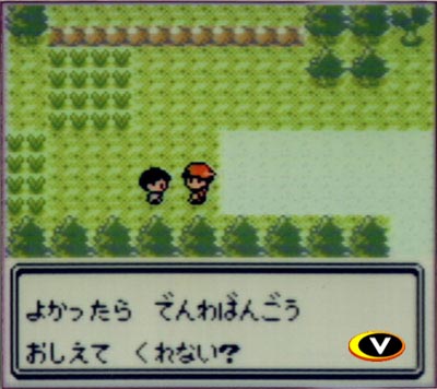 PKMN_GS_videogames.com_screenshot_4.jpg