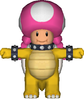 Mp8_bowser_toadette.png Mp8_bowser_toadette.png