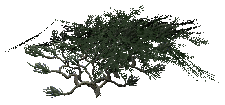 bush_evergreen.mdl bush_evergreen.mdl