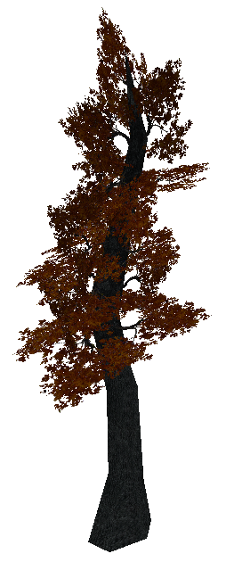 tree_jap_orange.mdl tree_jap_orange.mdl