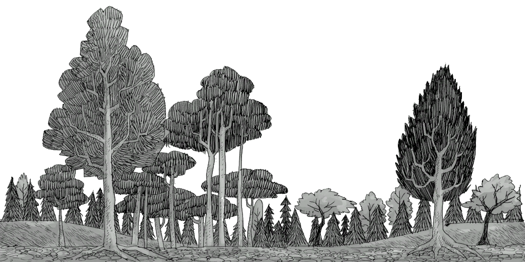 IvyTheKiwi-JP-bg00-bk_mori_02.png IvyTheKiwi-JP-bg00-bk_mori_02.png
