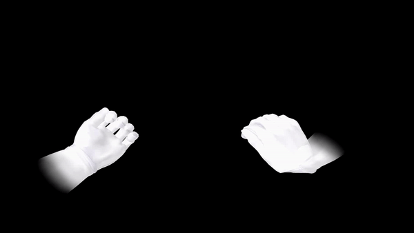SSBM-Tagshippai.gif