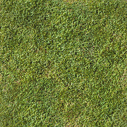 CSCZ-cugroundd.png CSCZ-cugroundd.png