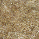 CSDS-Recoil_out_hay1.png_‎