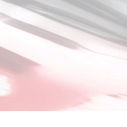 CMR04_xbox_usp_1d.png