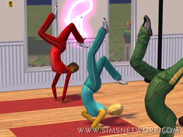 TS2_20040508-simsse3.jpg