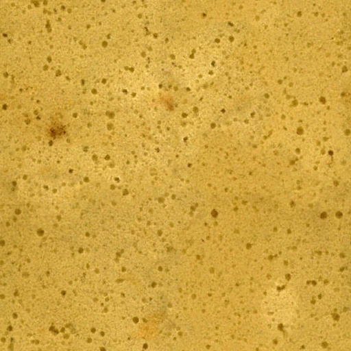 Lbp_Sponge_diffuse.tex.png