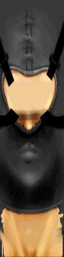 Hls_fassassin_fronthead.png Hls_fassassin_fronthead.png