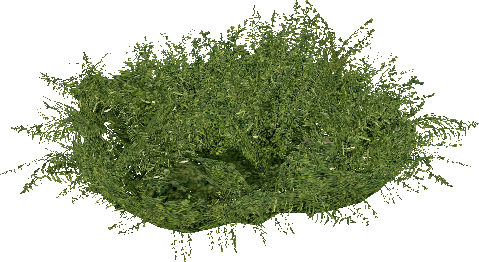 CSS_bushgreenbig.mdl.png