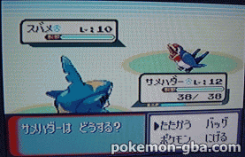 PokemonRS-Festa2002-003.png PokemonRS-Festa2002-003.png
