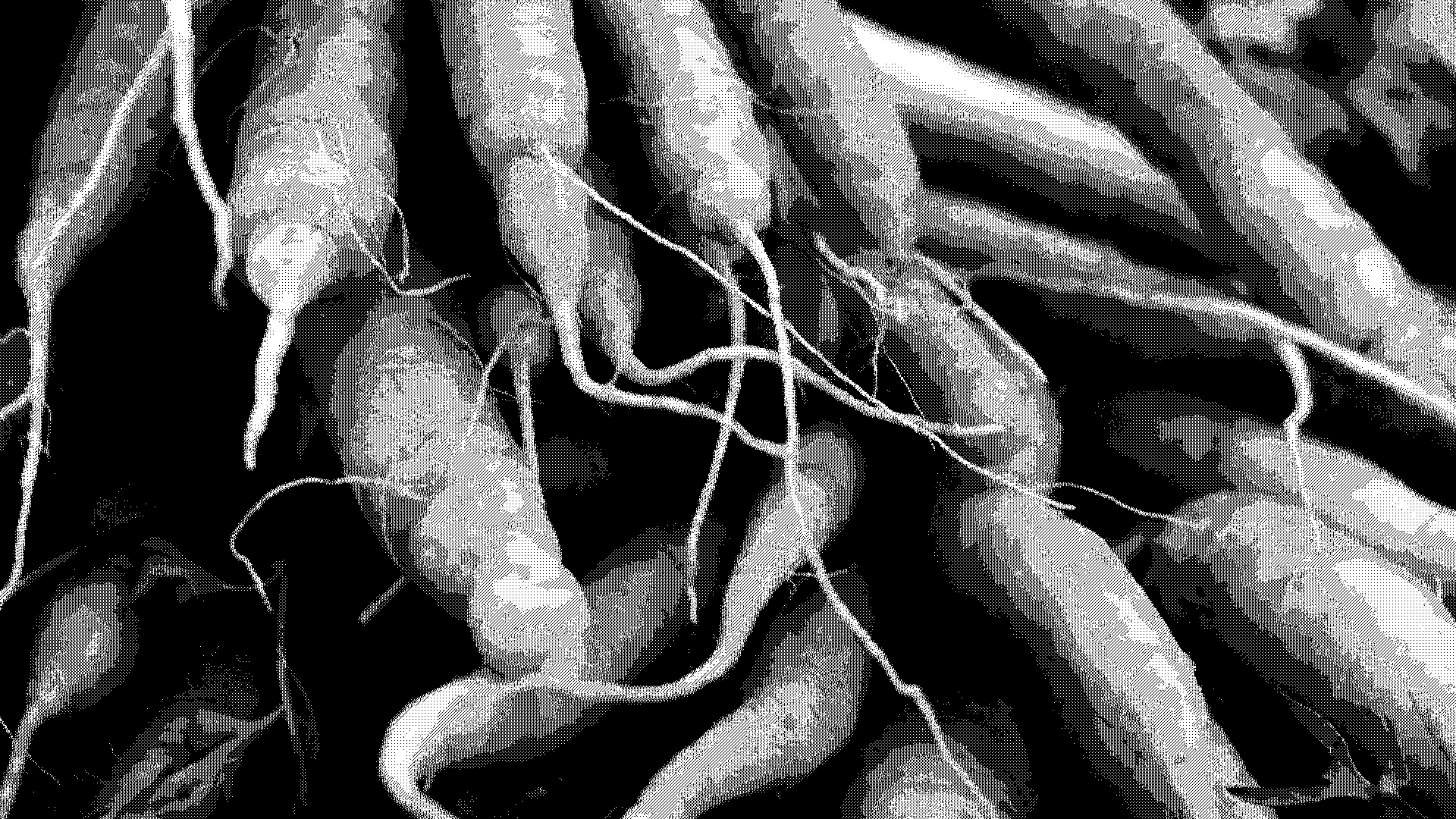 carrots3
