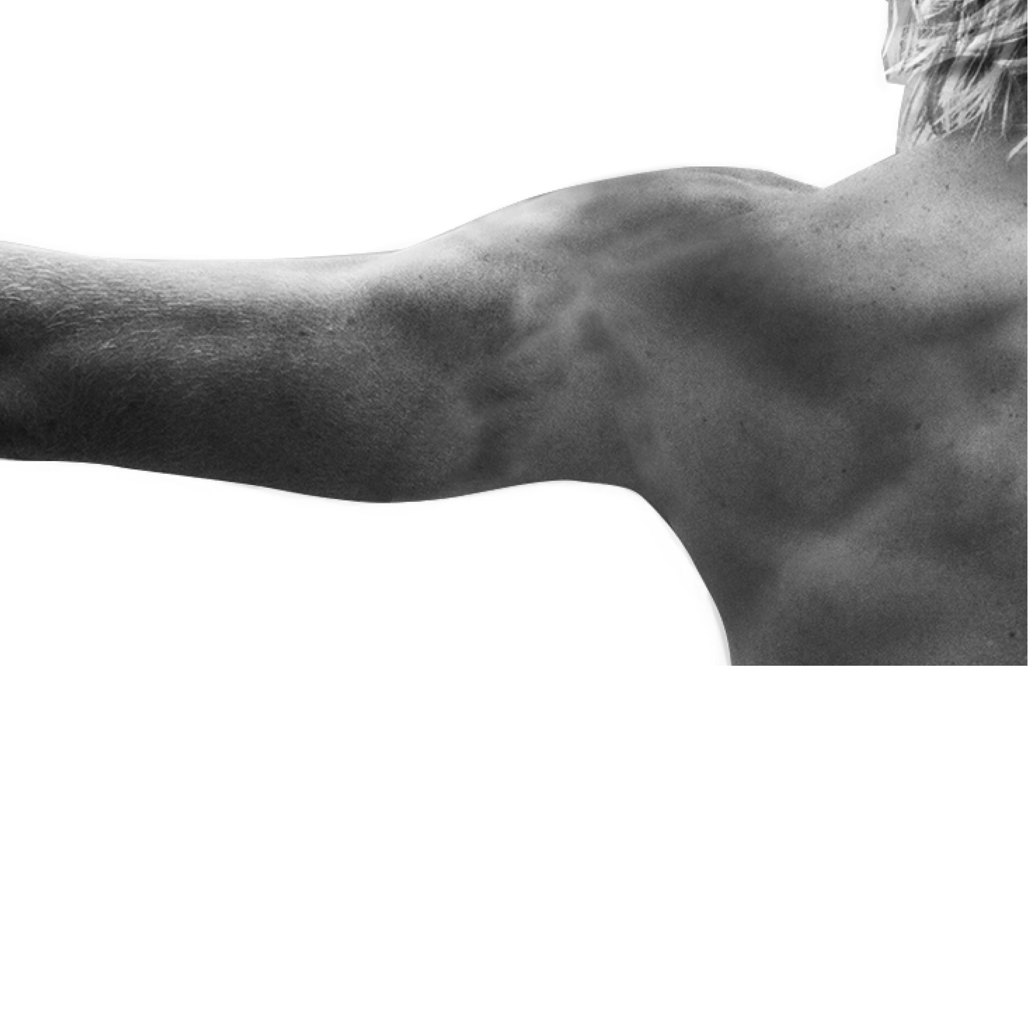 Reference_chest.png