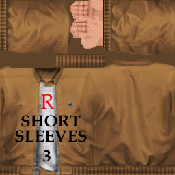R_SSleeves3.txd