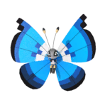 NPS_p034-2C.png