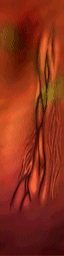 wrinkle.tga wrinkle.tga