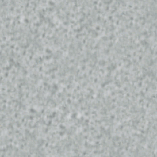 Lbp3_r513946_st_priv_glass.tex.png