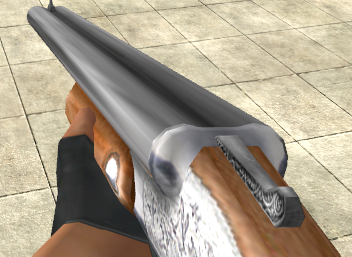Why are shotguns in Egypt?