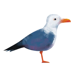 animals_seagull animals_seagull