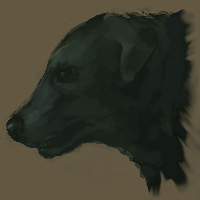 Dog Head Dog Head