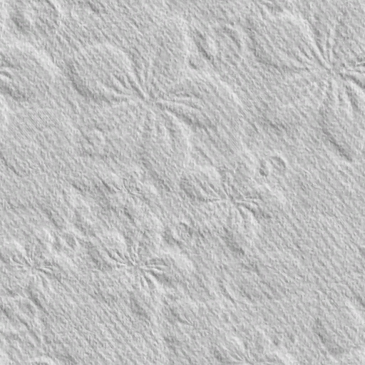 Mw_polynesian_fabric1_normal.png