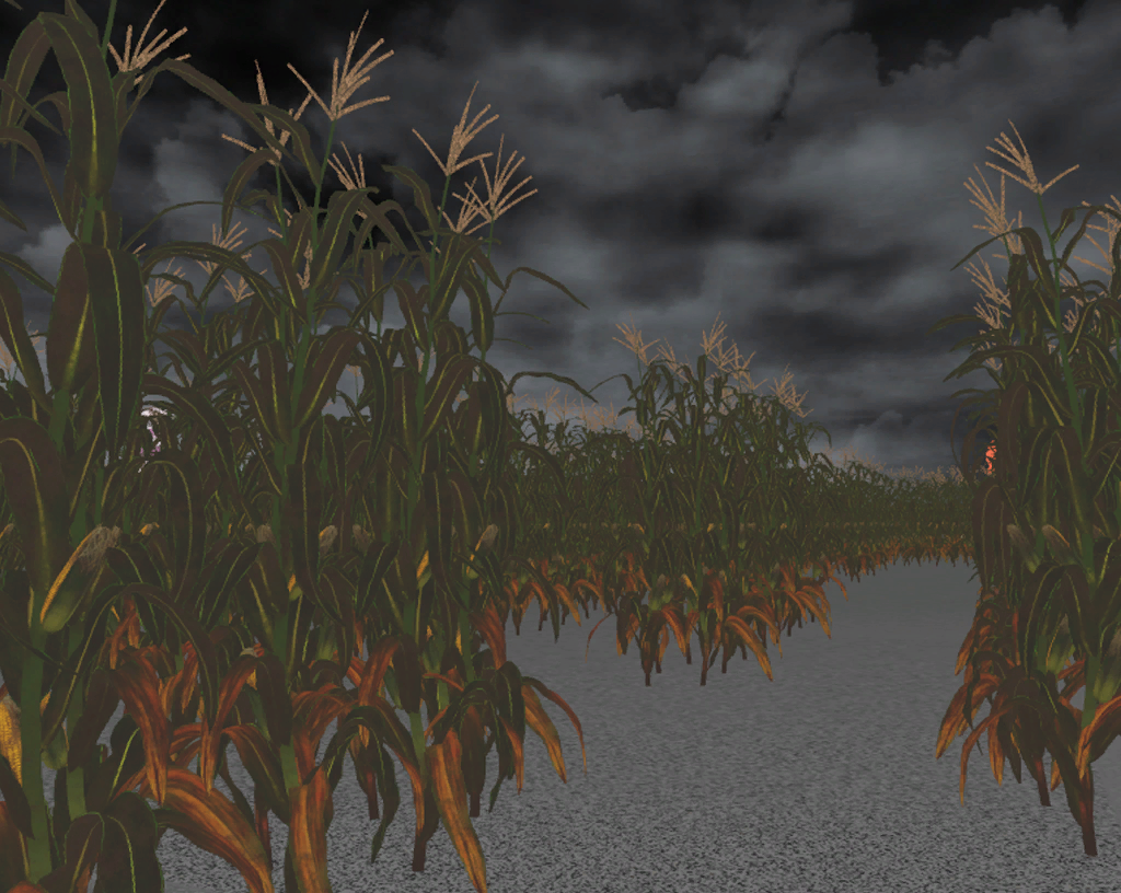 ICO_CornMaze_2 ICO_CornMaze_2