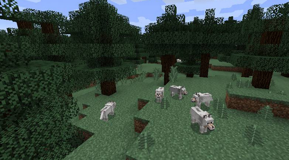 A screenshot of a taiga in 13w36a. A screenshot of a taiga in 13w36a.