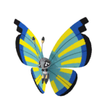 NPS_p034-1I.png