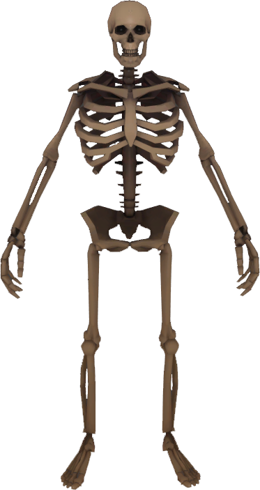 Plain skeleton. Plain skeleton.