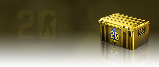 CS20 Case CS20 Case