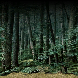 DungeonSiege2-b_t_grs02_for_wall-a.png DungeonSiege2-b_t_grs02_for_wall-a.png