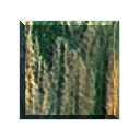 Wood Wood