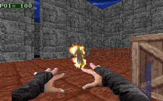 Enemy Ninja goes crispy thanks to the second magic spell. Enemy Ninja goes crispy thanks to the second magic spell.