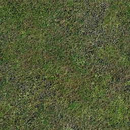 CSCZ-CstlGrass.png CSCZ-CstlGrass.png