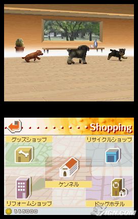 NintendogsMarch9-2005Screenshot6.jpg NintendogsMarch9-2005Screenshot6.jpg