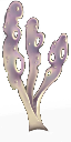zqSeaweed3