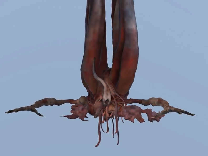 Bloodborne_Unused_Presence.png