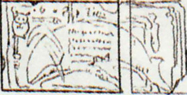 Zlaw_concept16.jpg