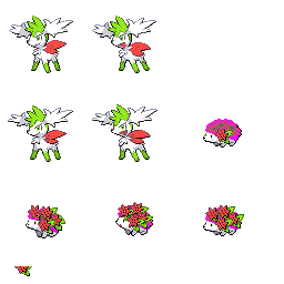 pmpl_516_frnt_flower_r14317.png pmpl_516_frnt_flower_r14317.png