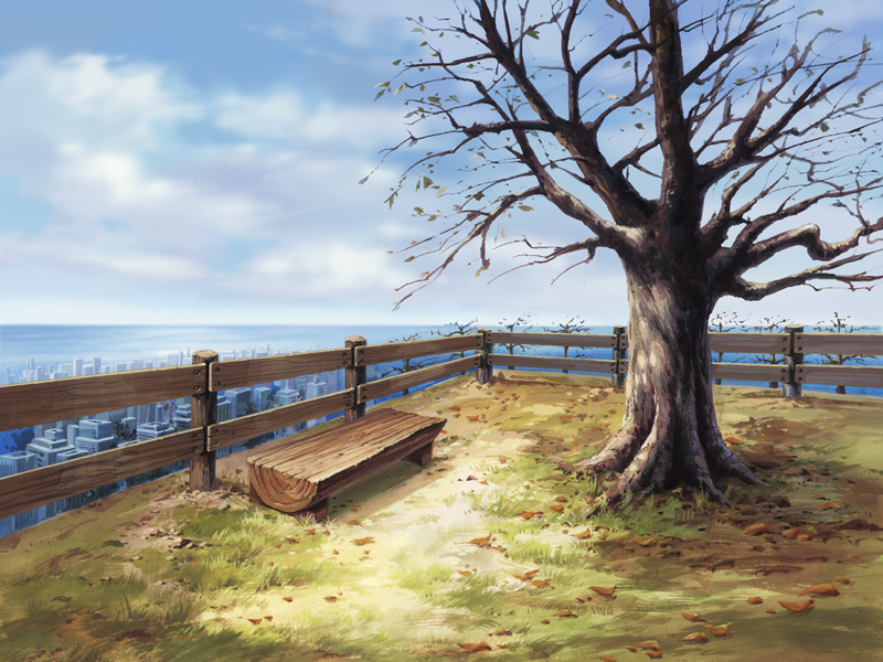DaCapoWS-hai_22_x.png