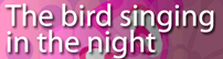luminesSN-bn_104.png