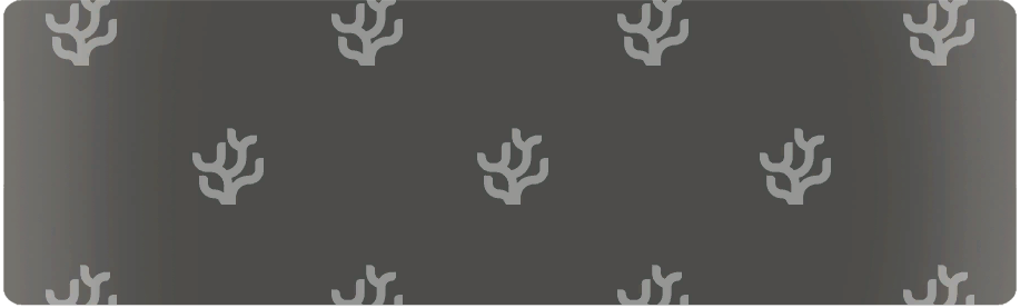 LuminesArise_style_board_img_035_C.png
