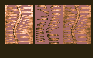 DevDoom1993-green_lbm_(2).png