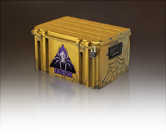 Shattered Web Case Shattered Web Case