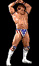 wwfwrestarc-L4CF4A.gif
