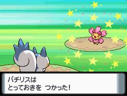 PKMNDP_pachchirem2.jpg