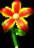 CBFD_fivepetal_flower.gif