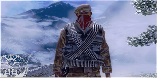 JustCause2_military_logo.png