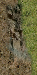 DungeonSiege-b_t_for02_rvr_04x08-12-right-02.png